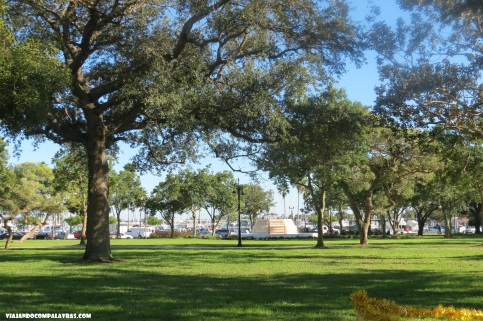 Parque em St Petersburg, Flórida