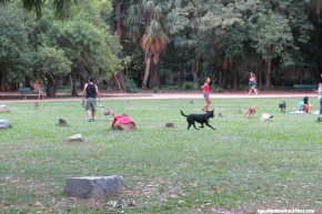 Parque da Redenção, Porto Alegre
