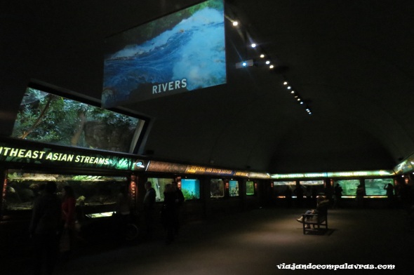 Shedd Aquarium Chicago